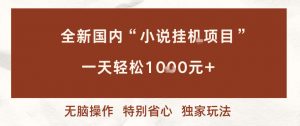 全新国内小说挂G项目,多窗口无脑跑,一天轻松1k+,特别省心【揭秘】-阳知网创资源库