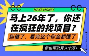 26年了,不要再疯狂的找项目了,看完这个你也可以月入十个W【揭秘】-阳知网创资源库