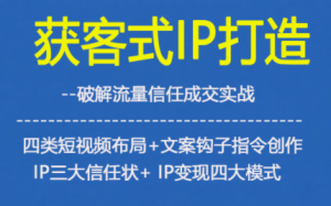 获客型IP打造,破解流量信任成,四类短视频布局+文案钩子指令创作IP三大信任状+IP变现四大模式-阳知网创资源库