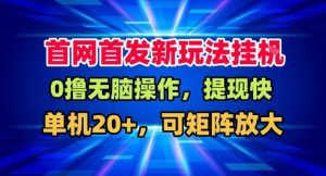 全网首发挂G，盒子自动賺米，单机20+，可矩阵放大，长期稳定运营【揭秘】-阳知网创资源库