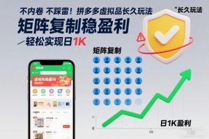 不内卷不踩雷!拼多多虚拟品长久玩法,矩阵复制稳盈利,轻松实现日1K【揭秘】-阳知网创资源库