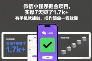 微信小程序掘金项目，实操7天賺了1.7k+，有手机就能做，操作简单一看就懂【揭秘】-阳知网创资源库