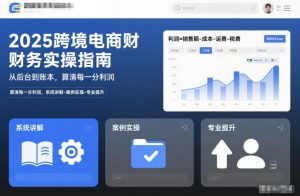 2025跨境电商财务实操指南,从后台到账本,算清每一分利润,系统讲解-案例实操-专业提升-阳知网创资源库