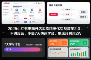 2025小红书电商开店卖货精细化实战教学2.0,不讲废话,小白7天快速学会,单店月利润2W-阳知网创资源库