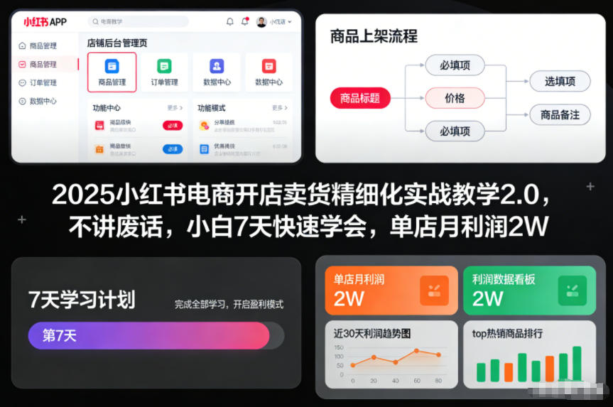 2025小红书电商开店卖货精细化实战教学2.0,不讲废话,小白7天快速学会,单店月利润2W-阳知网创资源库
