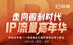 2025ip嘉年华万人12月14深圳线下课，走向微利时代，IP流量嘉年华，实操性极强的商业干货课-阳知网创资源库