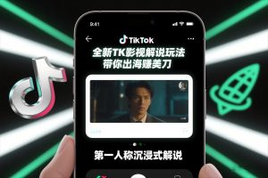 TikTok第一人称影视解说教学，全新TK影视解说玩法，带你出海賺美刀-阳知网创资源库