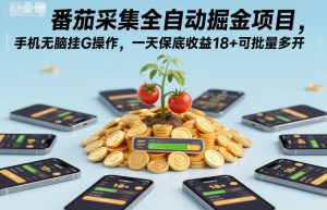 番茄采集全自动掘金项目，手机无脑挂G操作，一天保底收益18+可批量多开【揭秘】-阳知网创资源库