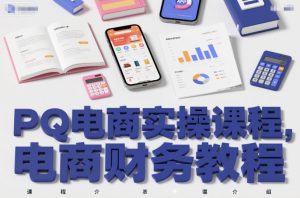 PQ电商实操课程,电商财务教程-阳知网创资源库