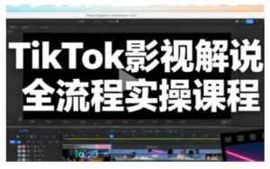 TikTok影视解说全流程实操,手把手教你打造TK爆款解说视频-阳知网创资源库