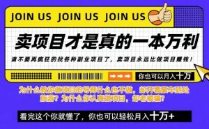 知识付费,你离月入10W只差一个开始!26年给自己一个机会,挖金子不如买铲子【揭秘】-阳知网创资源库