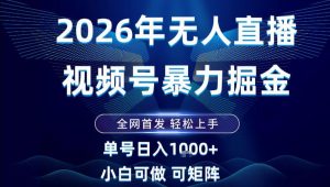 2026最新视频号无人直播掘金,全网首发,小白可以玩,长期稳定日入1k+【揭秘】-阳知网创资源库
