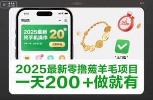 2025最新零撸薅羊毛项目，纯手机操作，20秒一单，无任何门槛，一天200+做就有【揭秘】-阳知网创资源库