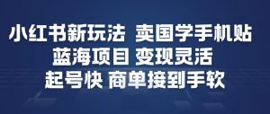 小红书新玩法,卖国学手机贴,蓝海项目,变现灵活,起号快,商单接到手软-阳知网创资源库