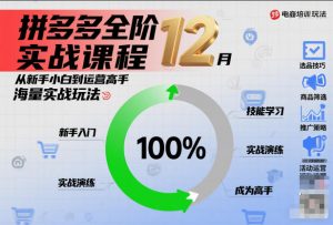 拼多多全阶实战课程12月，从新手小白到运营高手，海量实战玩法-阳知网创资源库