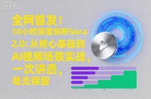 全网首发!10小时深度剖析Sora 2.0:从核心基础到AI视频场景实战,一次讲透,毫无保留-阳知网创资源库