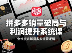 拼多多销量破局与利润提升系统课,全维度讲解拼多多运营逻辑-阳知网创资源库