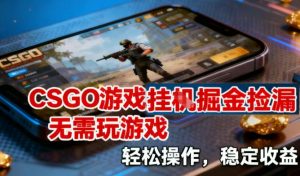 CSGO游戏挂G掘金捡漏,不需要玩游戏,操作简单,收益稳定【揭秘】-阳知网创资源库