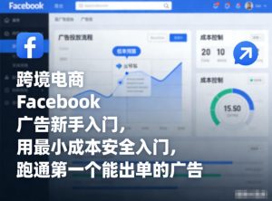 跨境电商Facebook广告新手入门,用最小成本安全入门,跑通第一个能出单的广告-阳知网创资源库