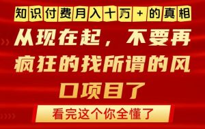 知识付费月入10个W的真相，做网创项目这一个就够了，不要再疯狂的找所谓的风口项目【揭秘】-阳知网创资源库