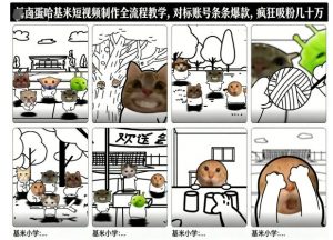 卤蛋哈基米短视频制作全流程教学，条条爆款，疯狂吸粉几十万-阳知网创资源库