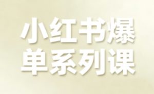小红书爆单系列课，聚焦小红书电商全链路增长（更新）-阳知网创资源库
