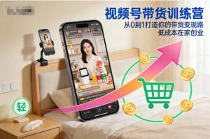 视频号带货训练营,从0到1打造你的带货变现路,低成本在家创业-阳知网创资源库