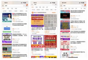 小红书SEO虚拟电商陪跑教程,实现seo搜索被动流量,自动成交的被动收入睡后项目-阳知网创资源库
