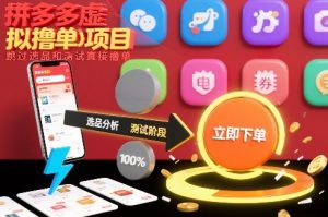 拼多多虚拟撸单项目,跳过选品和测试直接撸单-阳知网创资源库