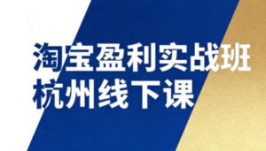 淘宝盈利实战班杭州线下课12月26-28日（音频+字幕），帮你掌握SOP流程+12门核心技术-阳知网创资源库