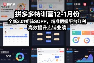 拼多多特训营12-1月份,全新3.01矩阵Sop,精准把握平台红利,高效提升店铺业绩-阳知网创资源库