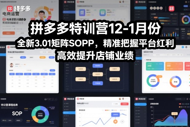 拼多多特训营12-1月份,全新3.01矩阵Sop,精准把握平台红利,高效提升店铺业绩-阳知网创资源库