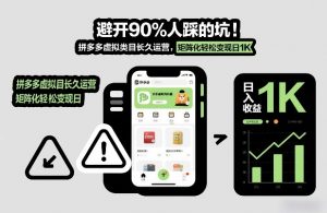避开90%人踩的坑，拼多多虚拟类目长久运营，矩阵化轻松变现日1K【揭秘】-阳知网创资源库