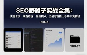 SEO野路子实战全集:快速收录、站群霸屏、黑帽技术,全是可直接上手的干货教程-阳知网创资源库