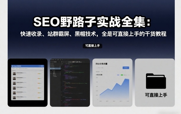 SEO野路子实战全集:快速收录、站群霸屏、黑帽技术,全是可直接上手的干货教程-阳知网创资源库