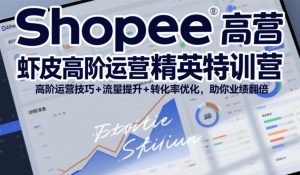 Shopee虾皮高阶运营精英特训营，高阶运营技巧+流量提升+转化率优化，助你业绩翻倍-阳知网创资源库
