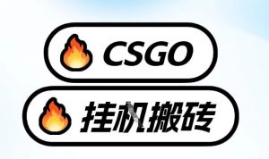 真全网独家CSGO挂G,最新玩法,单日捡漏1K+,不用电脑,不用打游戏【揭秘】-阳知网创资源库
