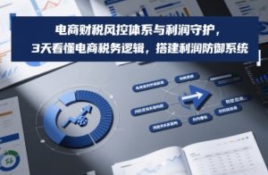 电商财税风控体系与利润守护，3天看懂电商税务逻辑，搭建利润防御系统-阳知网创资源库