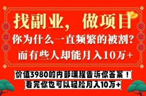 价值3980的网创内部课程,告诉你互联网创业月入10个W的秘密【揭秘】-阳知网创资源库