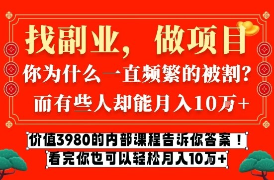 价值3980的网创内部课程,告诉你互联网创业月入10个W的秘密【揭秘】-阳知网创资源库
