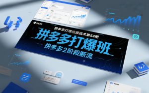 拼多多打爆班原创技术第54期，拼多多2阶段断流-阳知网创资源库