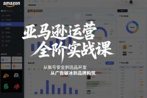 亚马逊运营全阶实战课,从账号安全到选品开发,从广告破冰到品牌构筑(更新2026)-阳知网创资源库