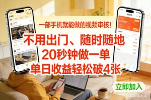 一部手机就能做的视频审核!不用出门,随时随地,20秒钟做一单,单日收益轻松破4张【揭秘】-阳知网创资源库