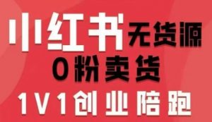 小红书无货源0粉电商课，开店准备、选品策略、笔记撰写、视频剪辑、数据分析、账号打造、资料文档（更新）-阳知网创资源库