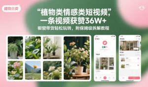 植物类情感类短视频,一条视频获赞36W+,橱窗带货轻松玩转,附保姆级拆解教程-阳知网创资源库