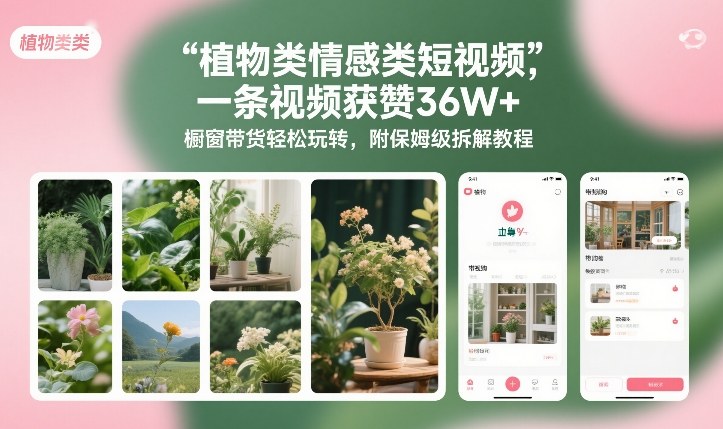 植物类情感类短视频，一条视频获赞36W+，橱窗带货轻松玩转，附保姆级拆解教程-阳知网创资源库