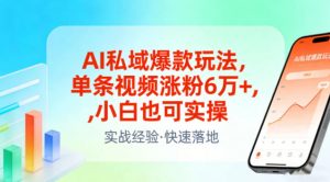 AI私域爆款玩法,单条视频涨粉6W+,小白也可实操-阳知网创资源库