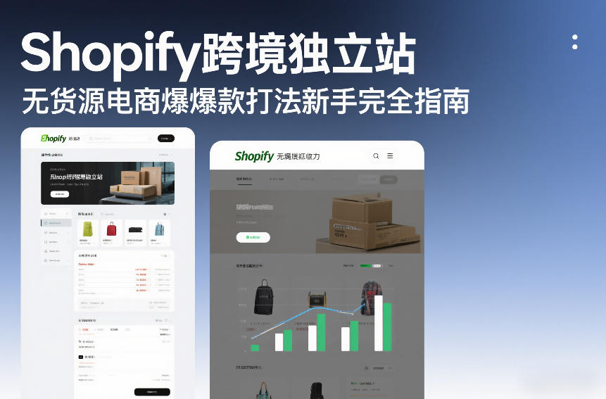 Shopify跨境独立站无货源电商爆款打法新手完全指南-阳知网创资源库