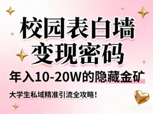 校园表白墙变现密码,年入10-20W的隐藏金矿,大学生私域精准引流全攻略!-阳知网创资源库