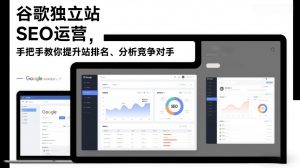 谷歌独立站SEO运营，手把手教你提升网站排名、分析竞争对手（更新2026）-阳知网创资源库